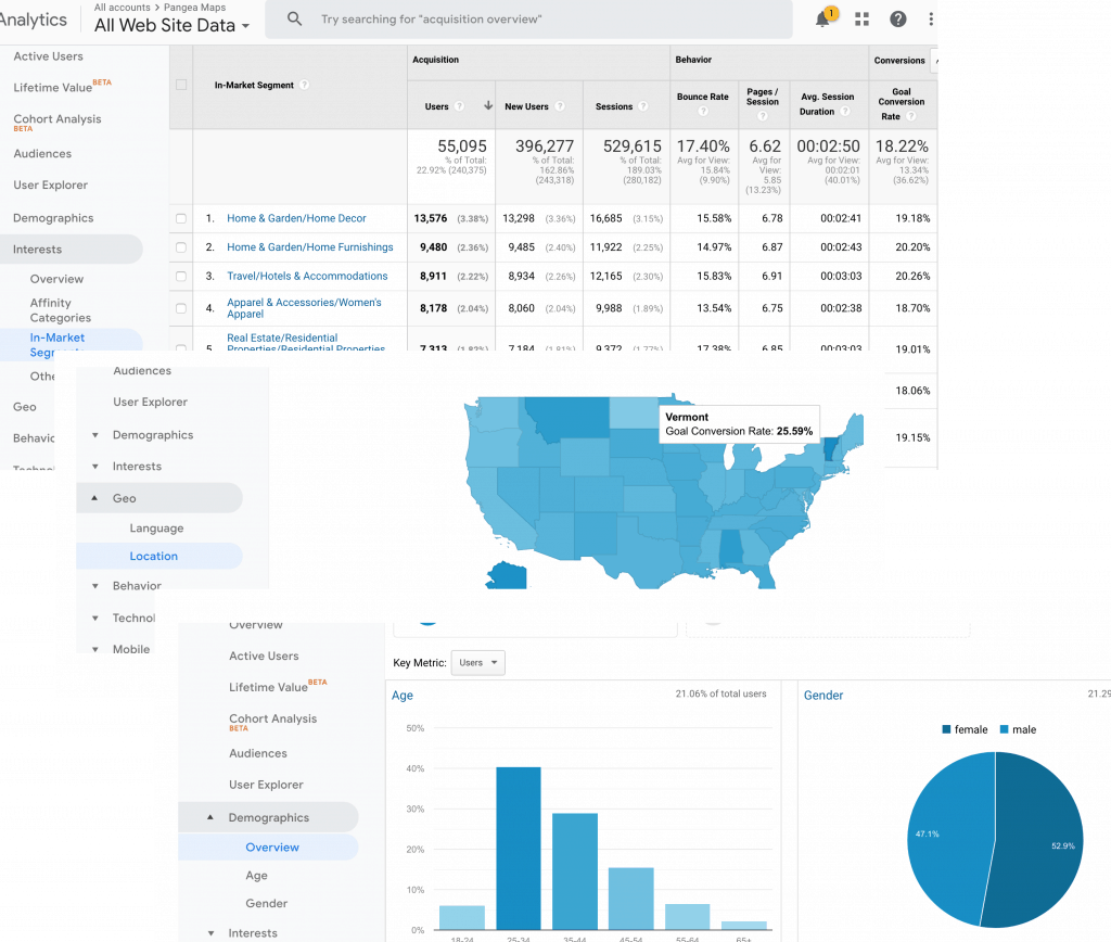 Google Analytics Audience Insights