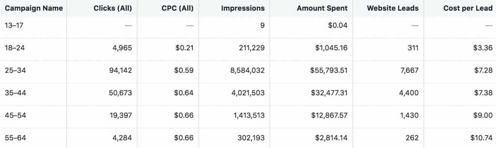 Segmentation by Age in Facebook Ads